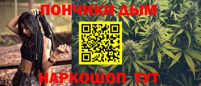 дурь Камышлов