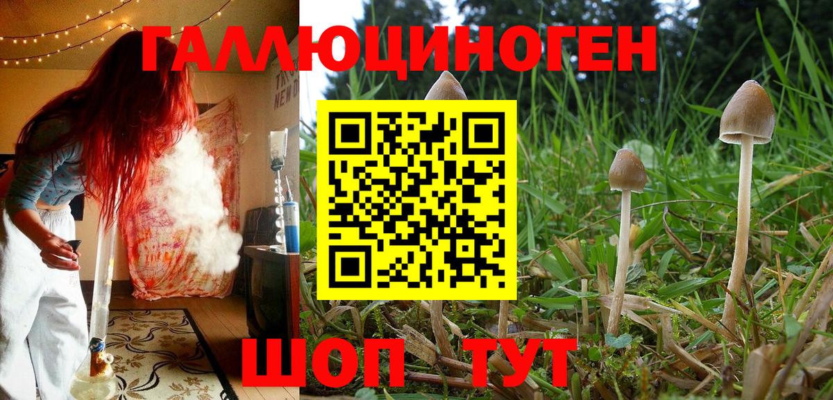 Псилоцибиновые грибы прущие грибы  Псилоцибиновые грибы Psilocybe  Вход с VPN  Кулебаки 